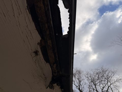 Photo Mar 13 2026, 10 12 45 AM