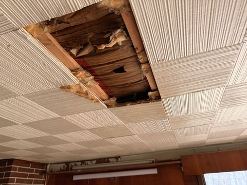 Photo Mar 13 2026, 10 15 08 AM