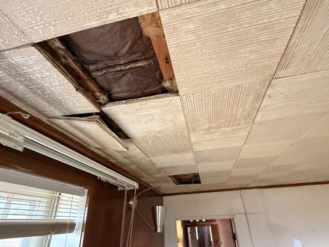 Photo Mar 13 2026, 10 16 25 AM