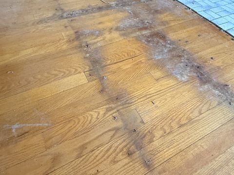 Photo Mar 23 2026, 11 35 24 AM