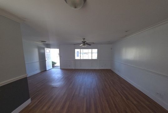 photo1 (46)