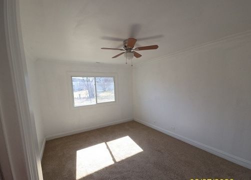photo4 (42)