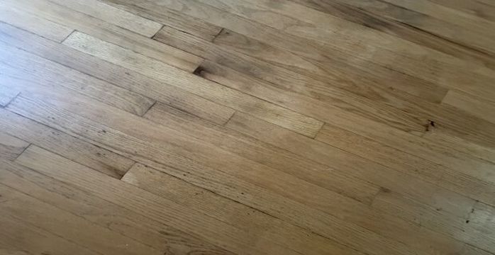 Photo Jun 15 2026, 11 59 44 AM