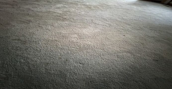 Photo Jun 25 2026, 10 34 17 AM