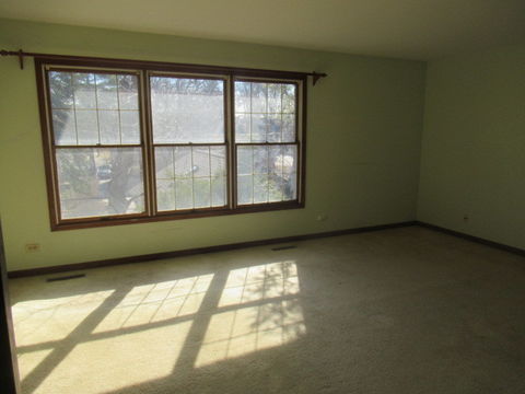 photo22 (19)
