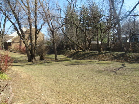 photo30 (10)