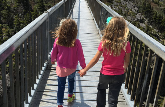 Grandfather Mtn Swinging Bridge