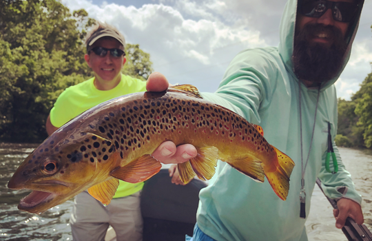 fishing on the watauga