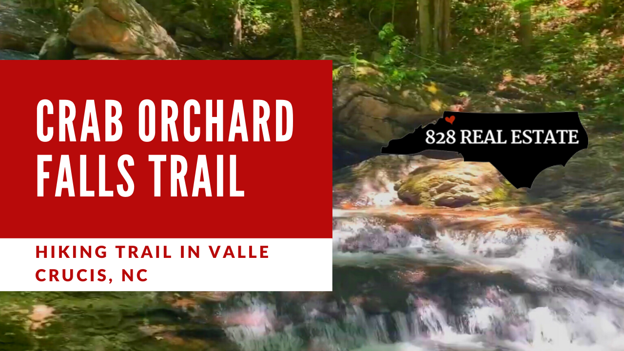 Crab Orchard Fall Trail Hiking Trail in Valle Crucis, NC.