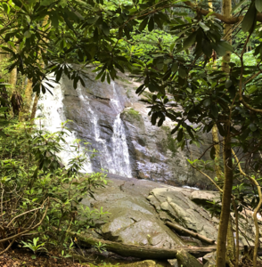 Waterfalls at Lower Pond Creek in Beech Mountain, NC