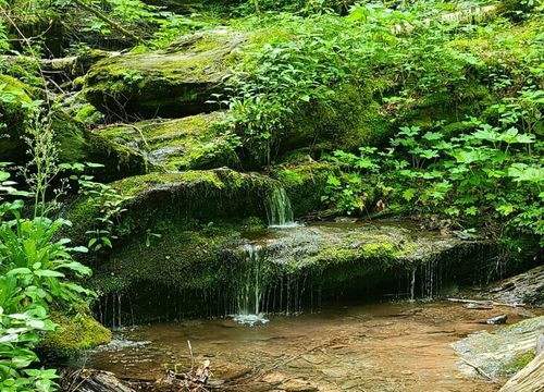 IMG_8483 &#8211; from Corrinne