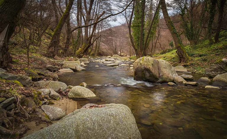 boone-water-activities