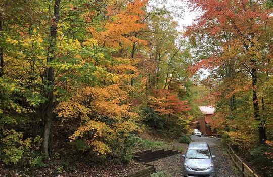 Fall-view-over-driveway