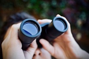 Binoculars used to spy on homeowners