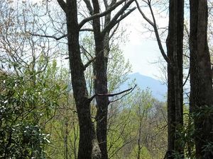 view-toward-hawks-peak