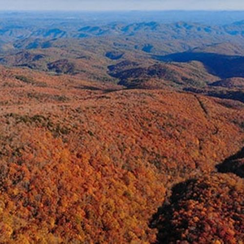 A Guide to Fall Foliage & Peak Leaf Season in Boone, NC