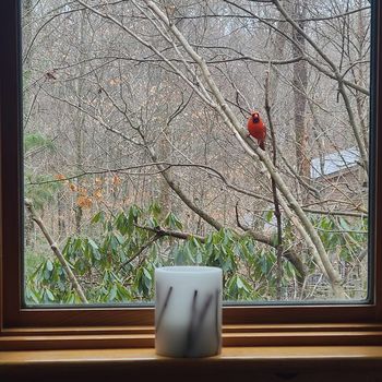 b12919d9-809b-423e-abc4-d202d31eb822