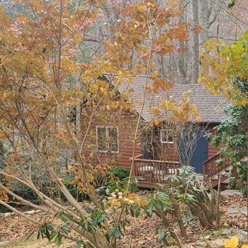 b2ab16e9-a790-4197-abed-df45f915b194