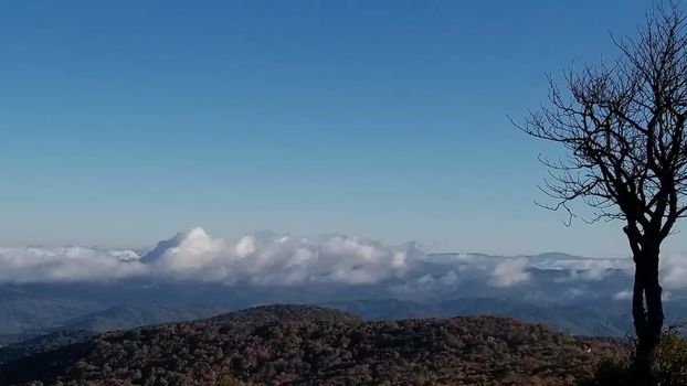 ff1ab6d0-b85e-42a0-9671-40a6c345144d copy