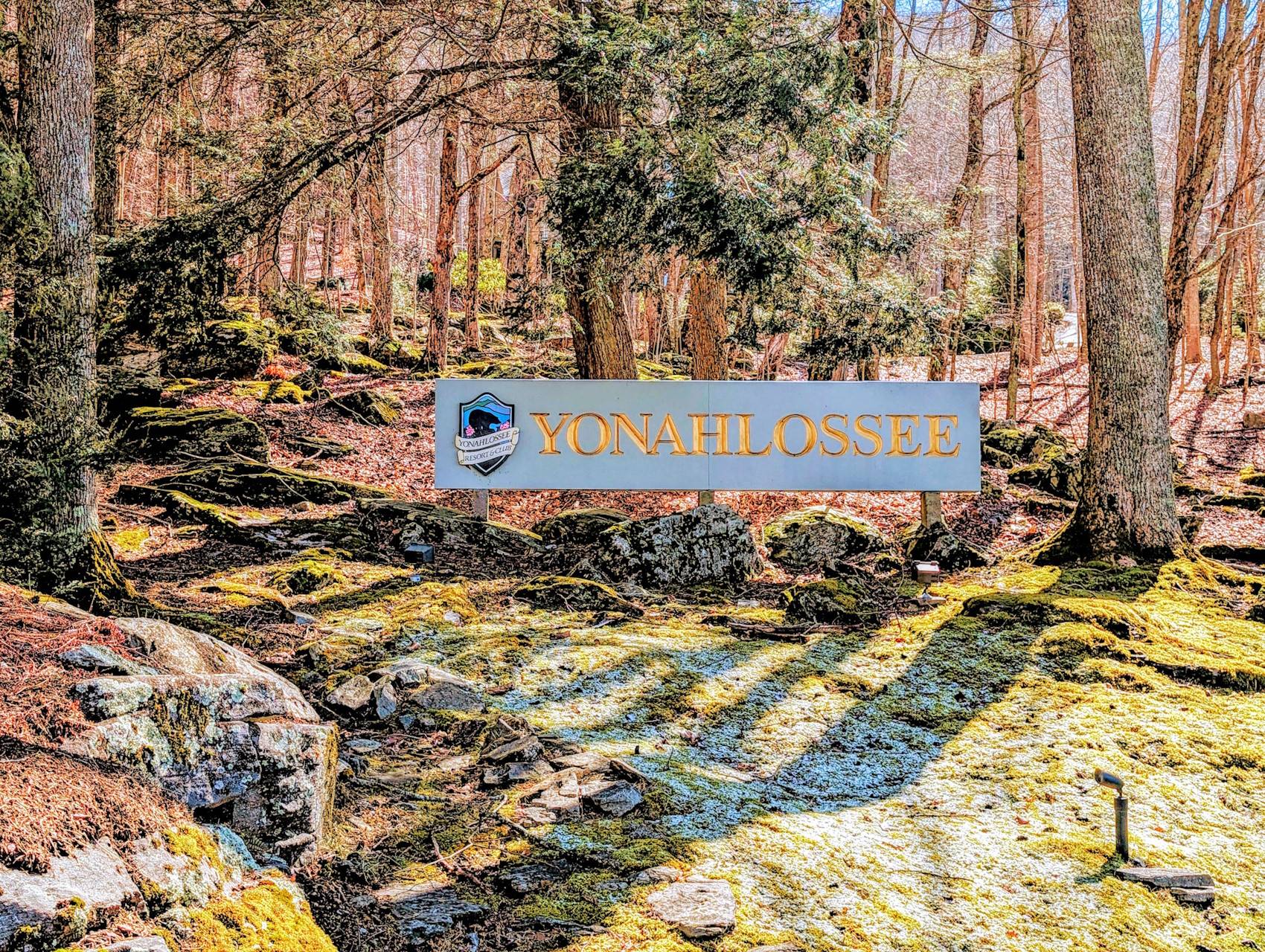 Yonahlossee Raquet & Saddle Club | 828 Real Estate