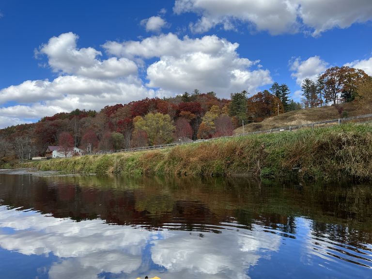 IMG 8747 Why Buyers Choose West Jefferson NC