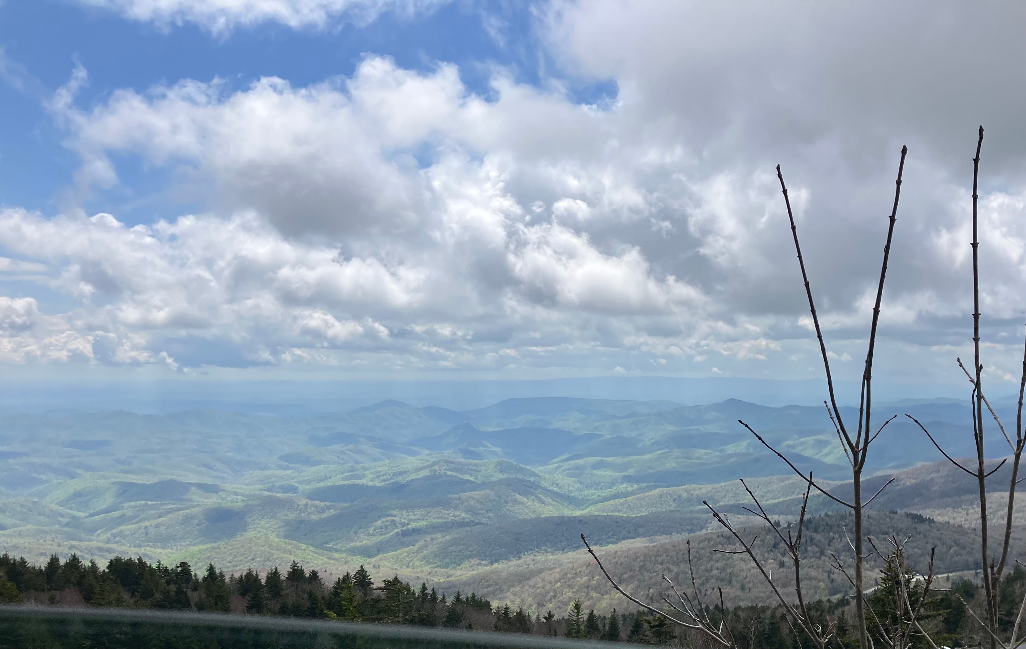 Grandfather Mountain Amber 4
