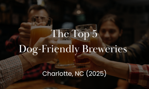 The Top 5 Dog-Friendly Breweries in Charlotte, NC (2025)