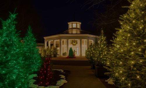 Thanksgiving in Charlotte: Celebrate the Season in the Queen City