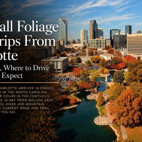 Where to See Fall Foliage Near Charlotte, NC: 10 Scenic Day Trips for 2026