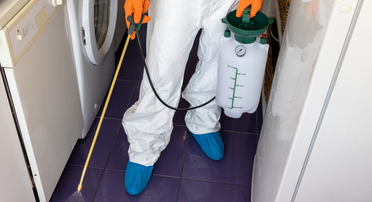 Pest Control