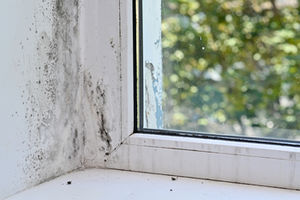 Mold on window sill