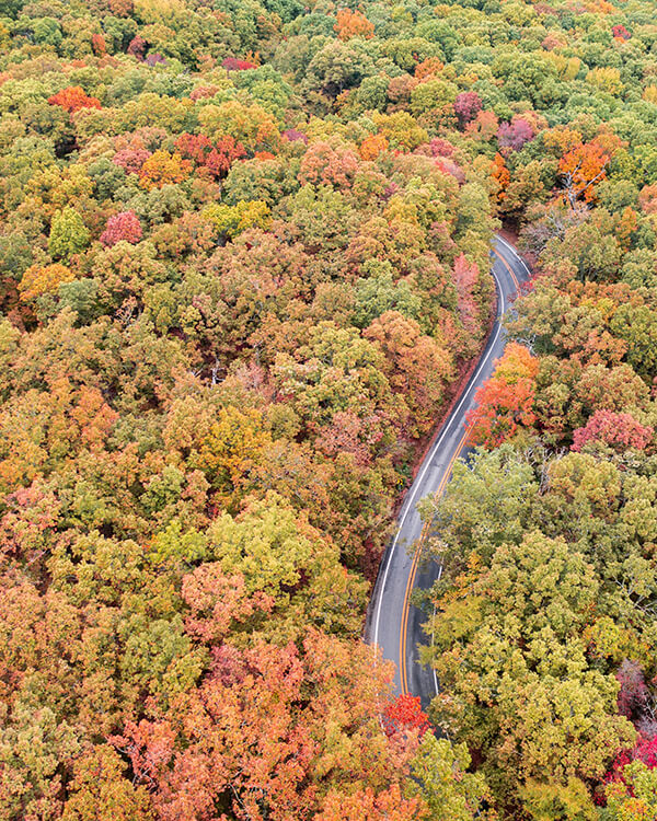 Jackson County Dustin White Realty