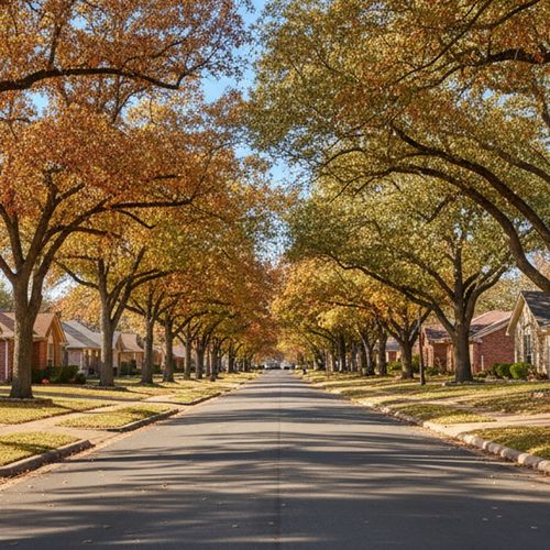 Living in North Richland Hills TX: A Local Real Estate Guide