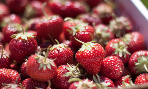 Hello Summer! Your Guide to Early Summer Events Around the …