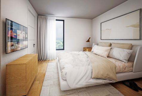 Nebraska Interior 41625 V 4