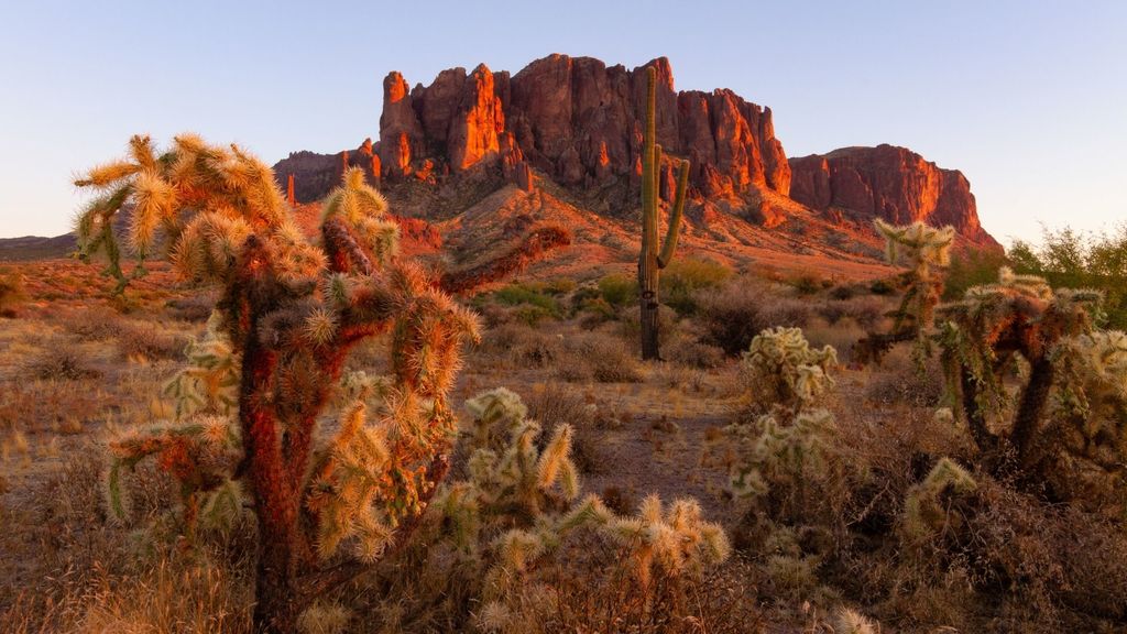 Lost Dutchman State Park