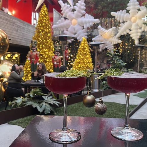 Festive Cocktails and Cozy Vibes: Holiday Bars in San Diego