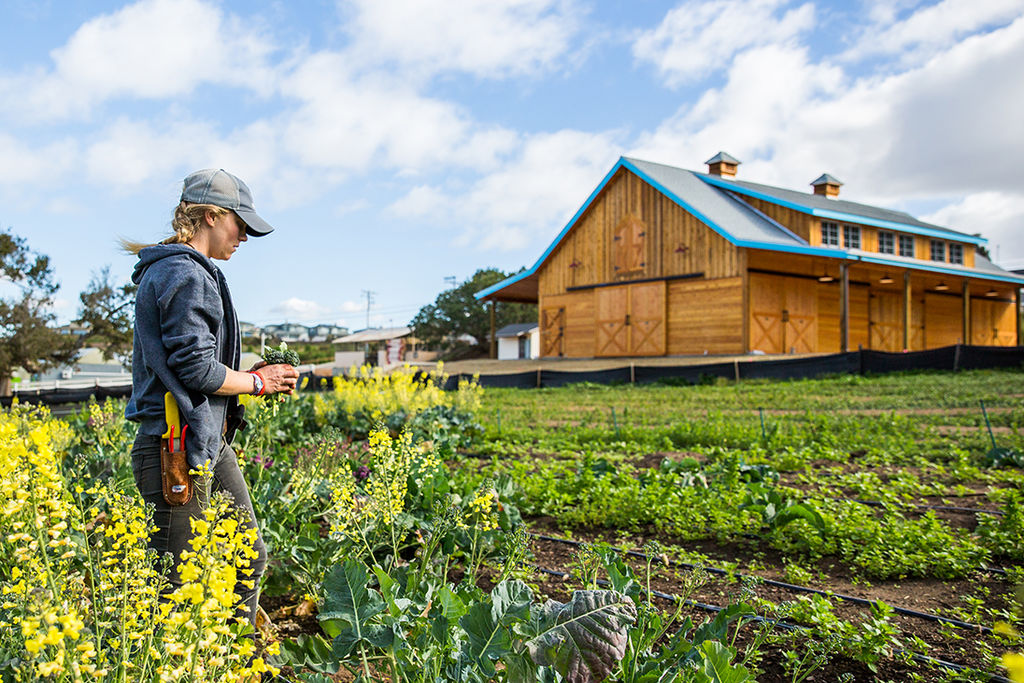 Exploring Coastal Roots Farm - Bern McGovern | OFF THE 56 Home Team