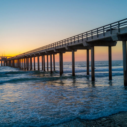 San Diego Aquarium Adventures You Won’t Want to Miss