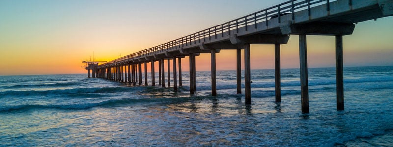 San Diego Aquarium Adventures You Won’t Want to …