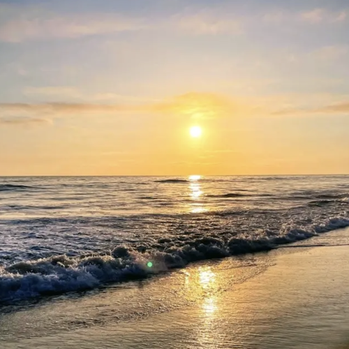 Celebrate the Summer Solstice in San Diego: Nature, Stars, Food, Wine & More