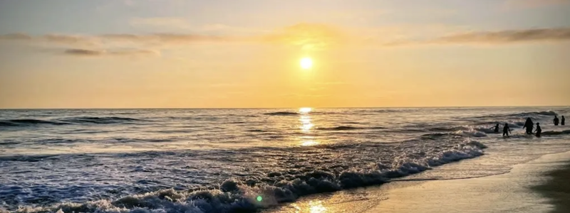 Celebrate the Summer Solstice in San Diego: Nature, …