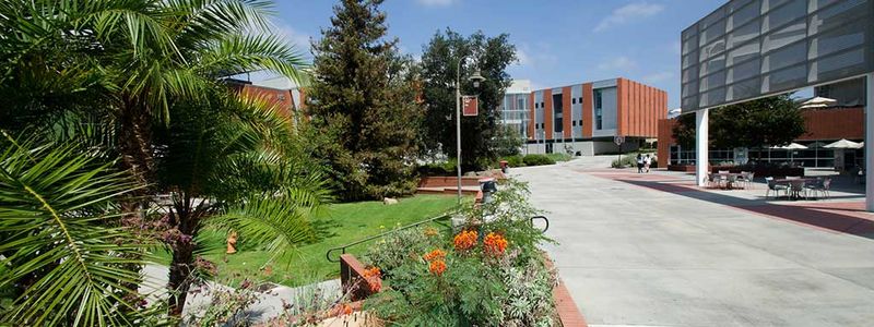 Palomar College Launches First-Ever Bachelor’s Degree in Sustainable …