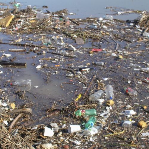 US & Mexico Sign Agreement to Tackle Tijuana River Sewage Crisis—But Will It Finally Bring Relief?