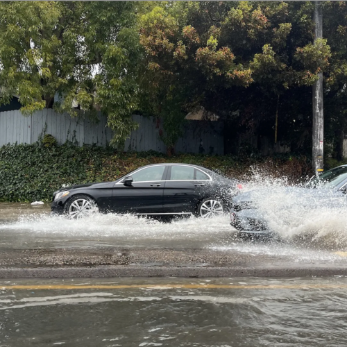 Rain in San Diego? Never Heard of It!