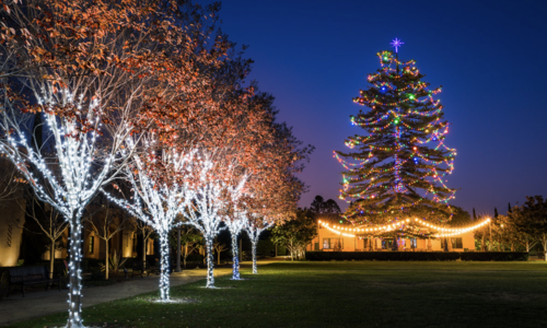 Why the Holidays Make Us Grateful to Call San Diego &hellip;
