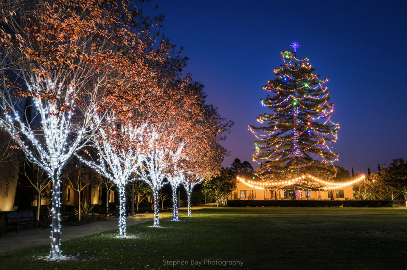 Screenshot 2025-11-17 at 10.19.25 AM