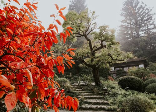 steven-van-elk-beHOr0hVVhw-unsplash