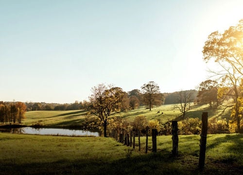 5fadd5a5-9abb-4d5b-92d9-f1699142cec1