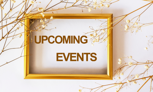 🎉 What's Happening in Haddon Township: Week of …